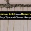 remove mold from basement walls