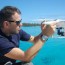 aerial drones reveal sharks in shallow