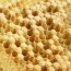 healthy brood patterns brad s bees