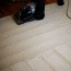 homemade carpet cleaner solution and