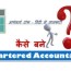 chartered accountant in hindi ca