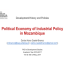 political economy of policy