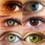eye color trivia green bay wi