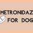 metronidazole for dogs i love veterinary