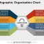 infographic organization chart for