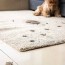 how to clean carpet stains 11 types