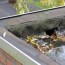 flat roof drainage systems my trusted