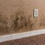 basement mold removal cost 2023 cost