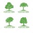 eco plant care arborist tree removal