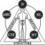 applied kinesiology course source