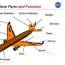 airplane parts and function diagram