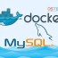 how to setup mysql with docker in linux