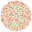 test your color blindness online