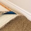 mold does it lurk beneath your carpet