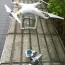 taipei 101 hit by another drone police
