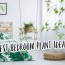 best bedroom plant ideas 10 types of