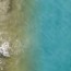drone reveals shark swimming near
