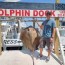 best deep sea fishing in port aransas texas