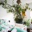 15 bedrooms with plants that have