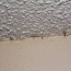 2022 popcorn ceiling removal cost