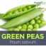 green peas facts and health benefits