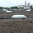 coal tar pitch roofing explained roof