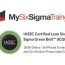 cssgb ic certified lean six sigma