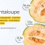 cantaloupe nutrition facts and health