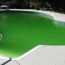 clear up and clean a green swimming pool
