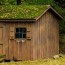 how to make a green roof on a shed