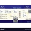fake plane ticket royalty free vector