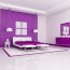 purple two colour combination for