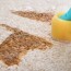 how to get dog vomit out of carpet in 4