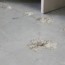 sealed concrete floors