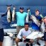 sarasota siesta key fishing charters