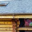 shed roof advantages and disadvantages