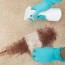 cat urine smell stains out of carpets