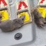 how to remove mice from your garage