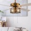 led indoor br ceiling fan with light
