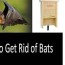best bat repellents deters