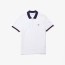 polo shirts lacoste asia regular fit