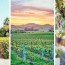 36 amazing napa wineries a sommelier s
