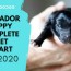 labrador puppy complete t chart