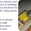 getting rid of mice in the house how to