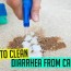 how to clean diarrhea from carpet