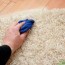 6 ways to get stains out of carpet