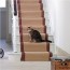 flooring that your cat cannot destroy