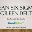 lean six sigma green belt globalskillup