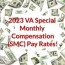 2023 va special monthly compensation