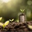 investing in green startups